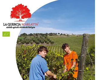LA QUERCIA SCARLATTA – Marken